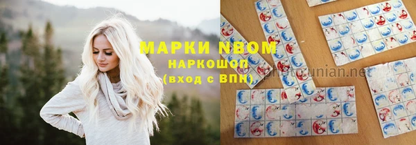 каннабис Новозыбков